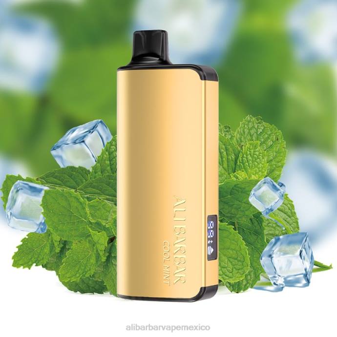 Alibarbar Vape Review - 4R0635 Alibarbar Ingot 20000 vaporizadores desechables menta fresca
