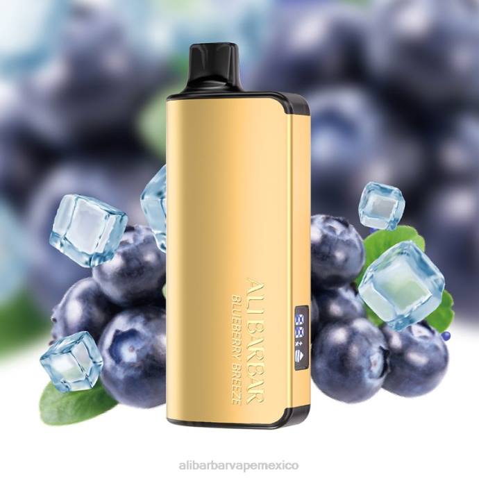 Alibarbar Nicotine Vape - 4R0632 Alibarbar Ingot 20000 vaporizadores desechables brisa de arándanos